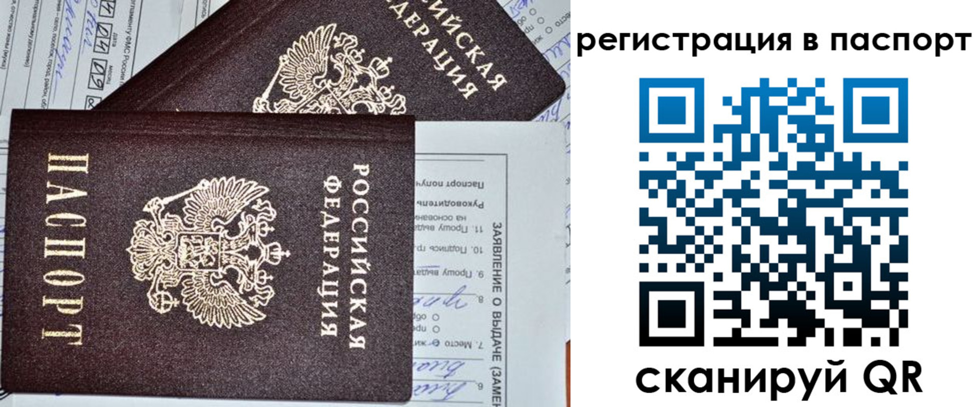 прописка законно в Краснодаре